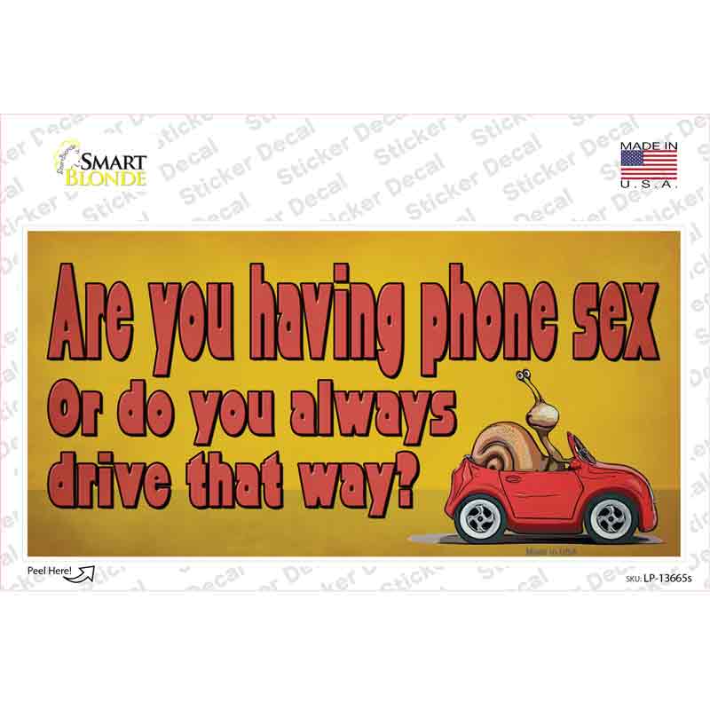 Are You Having Phone Sex Novelty Sticker Decal