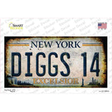 Diggs 14 Excelsior New York Rusty Novelty Sticker Decal