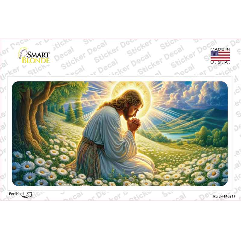 Jesus Praying Novelty Sticker Decal LP-14521s