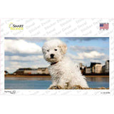 Bichon Frise Dog Novelty Sticker Decal
