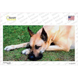 Great Dane Dog Novelty Sticker Decal