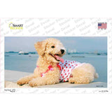 Poodle Dog Novelty Sticker Decal