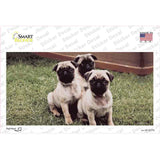 Pug Dog Novelty Sticker Decal