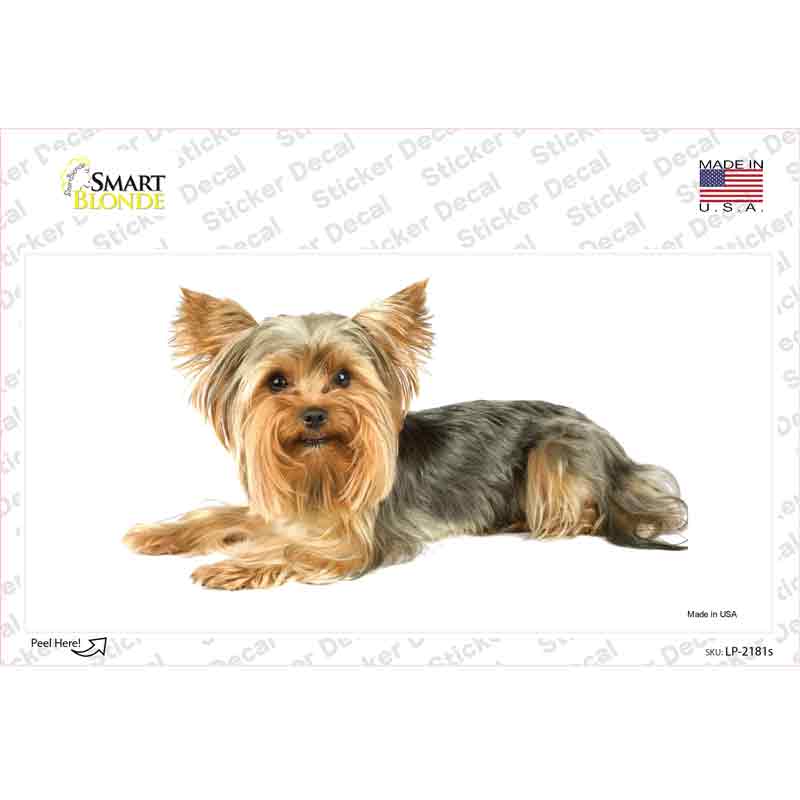 Yorkshire Terrier Dog Novelty Sticker Decal