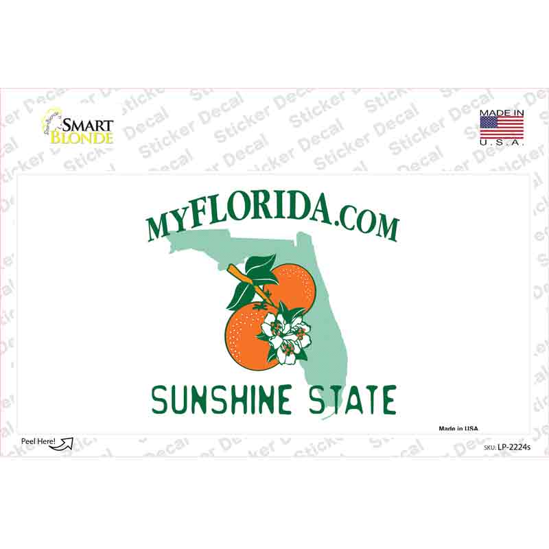 Florida State Blank Novelty Sticker Decal