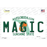 Magic Florida State Novelty Sticker Decal