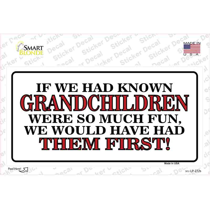 Grandchildren First Novelty Sticker Decal