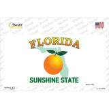 Florida State Background Novelty Sticker Decal