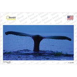 Whale Tail Novelty Sticker Decal