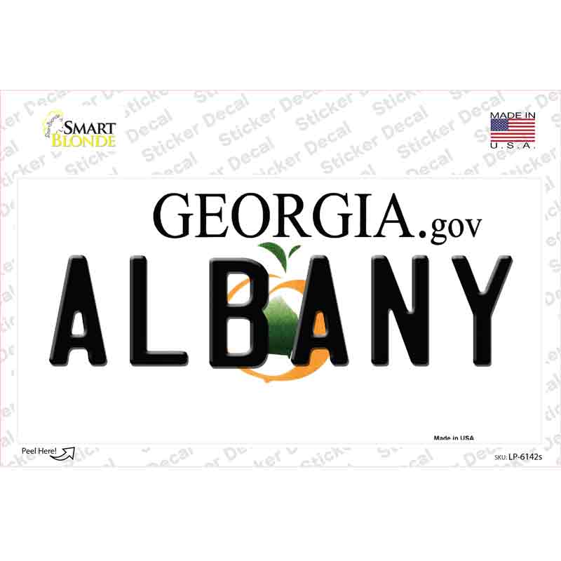 Albany Georgia Novelty Sticker Decal