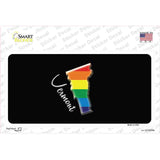 Vermont Rainbow Novelty Sticker Decal