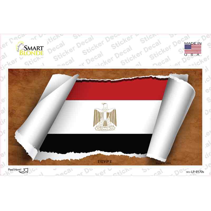 Egypt Flag Scroll Novelty Sticker Decal