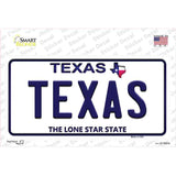 Texas Novelty Sticker Decal