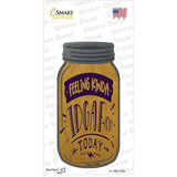 Feeling Kinda IDGAF Novelty Mason Jar Sticker Decal