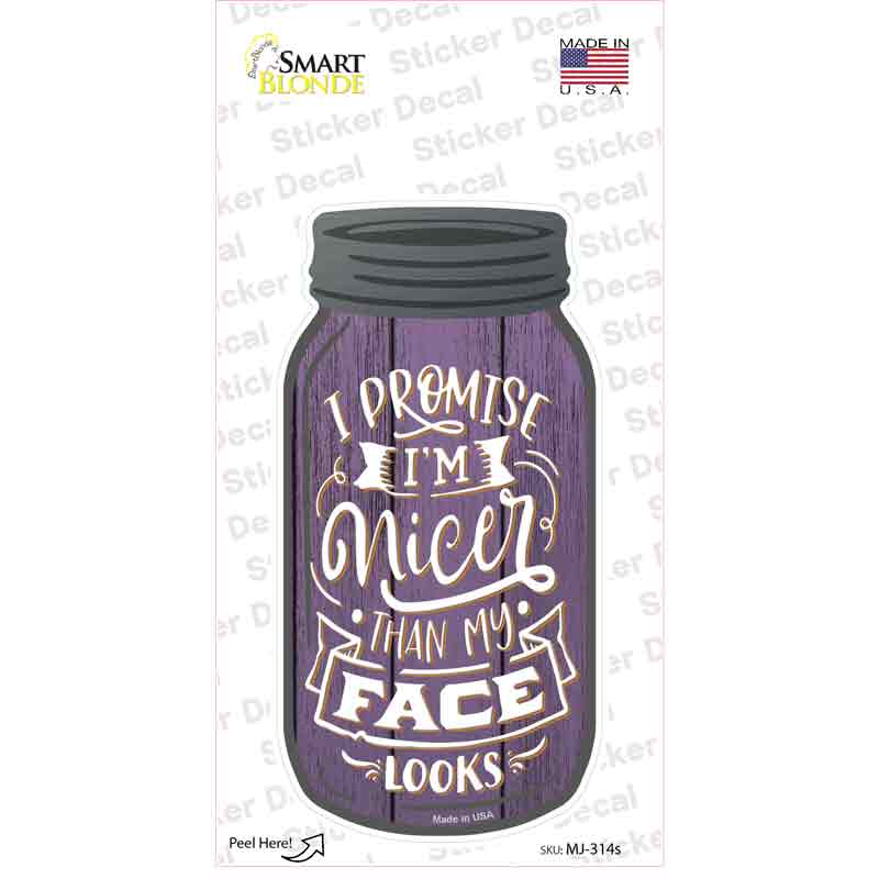 Nicer Than My Face Novelty Mason Jar Sticker Decal