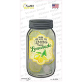 Lemons Make Lemonade Fruit Novelty Mason Jar Sticker Decal
