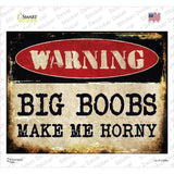 Big Boobs Novelty Rectangle Sticker Decal