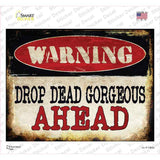 Drop Dead Gorgeous Novelty Rectangle Sticker Decal