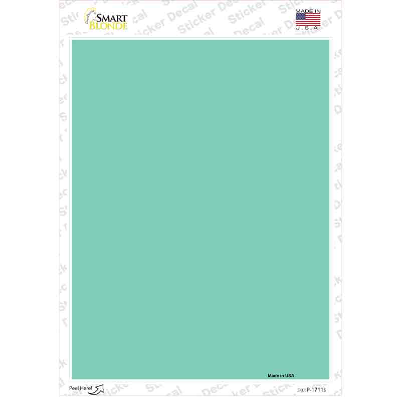 Mint Blank Novelty Rectangle Sticker Decal