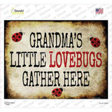 Grandmas Little Lovebugs Novelty Rectangle Sticker Decal