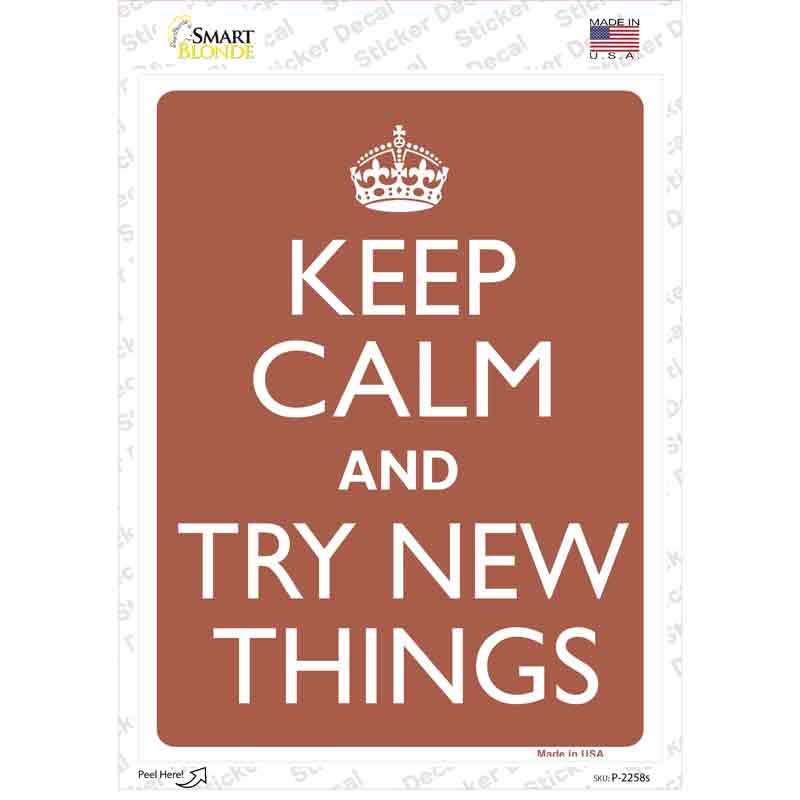 Keep Calm Try New Things Brown Novelty Rectangle Sticker Decal