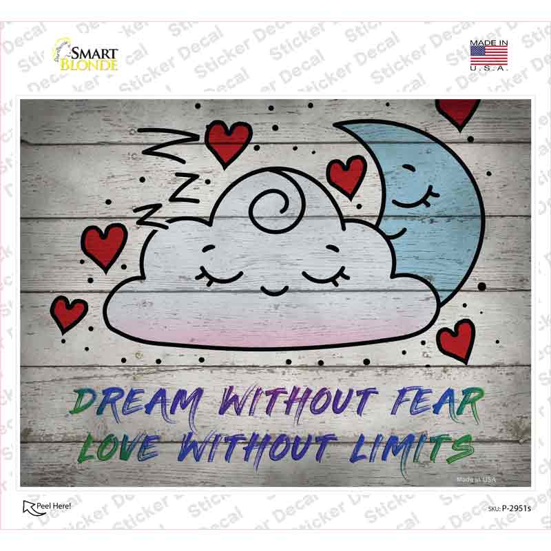 Dream Without Fear Novelty Rectangle Sticker Decal