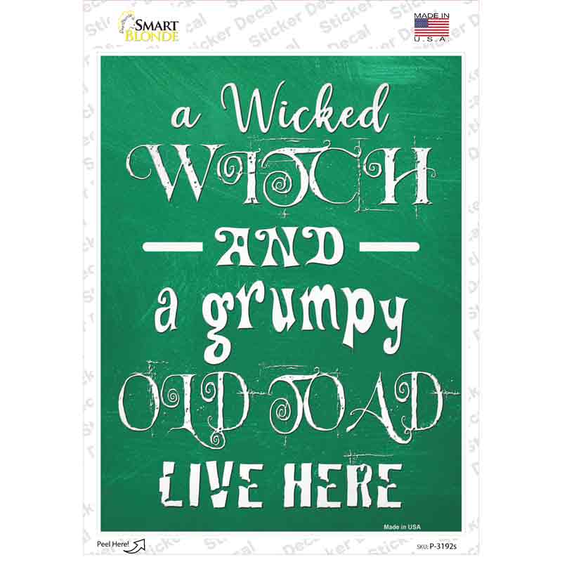 Wicked Witch and Grumpy Toad Novelty Rectangle Sticker Decal