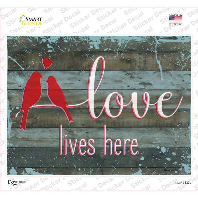 Love Lives Here Novelty Rectangular Sticker Decal