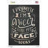 Nicer Than My Face Looks Novelty Rectangle Sticker Decal