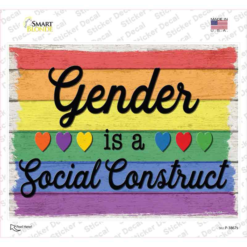 Gender Is A Social Construct Novelty Rectangle Sticker Decal