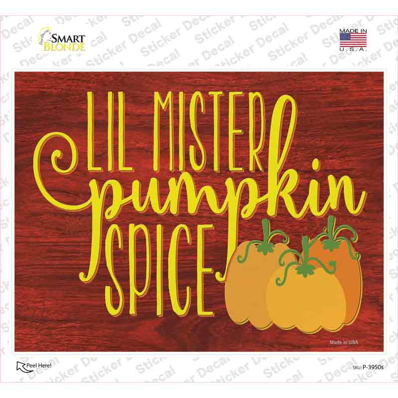 Lil Mister Pumkin Spice Novelty Rectangle Sticker Decal