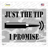 Just The Tip I Promise Novelty Rectangle Sticker Decal
