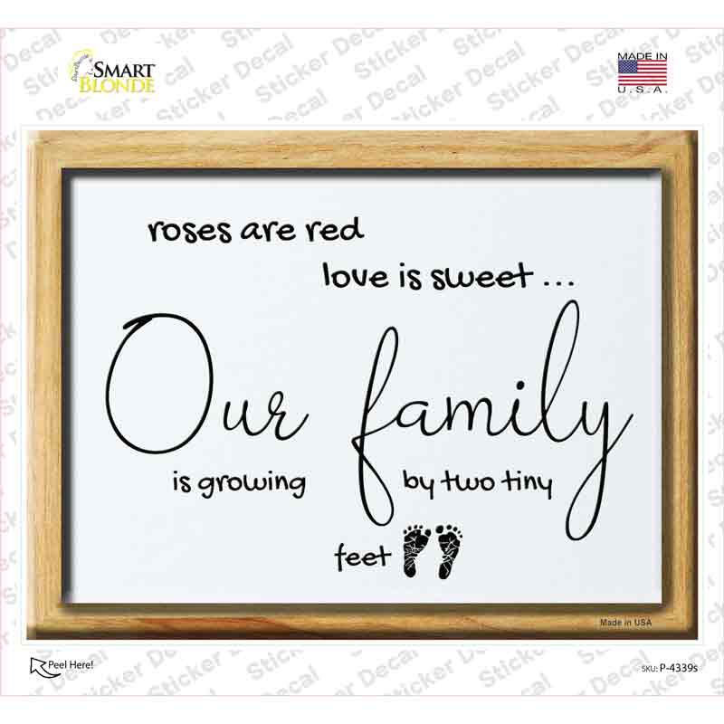 Family Is Growing By Two Tiny Feet Novelty Rectangle Sticker Decal
