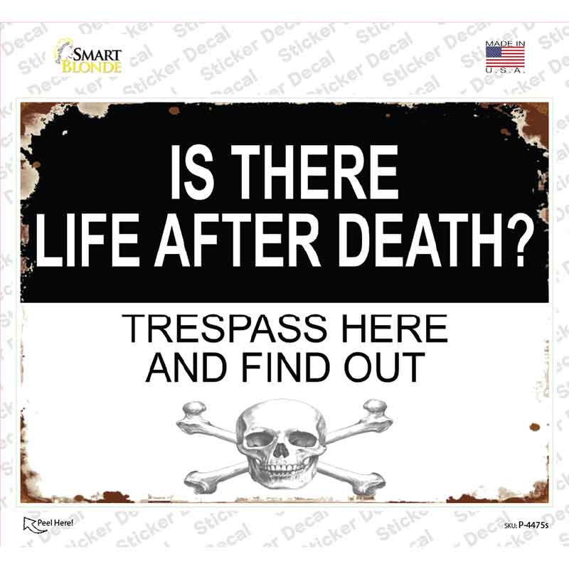 Life After Death Novelty Rectangle Sticker Decal P-4475s