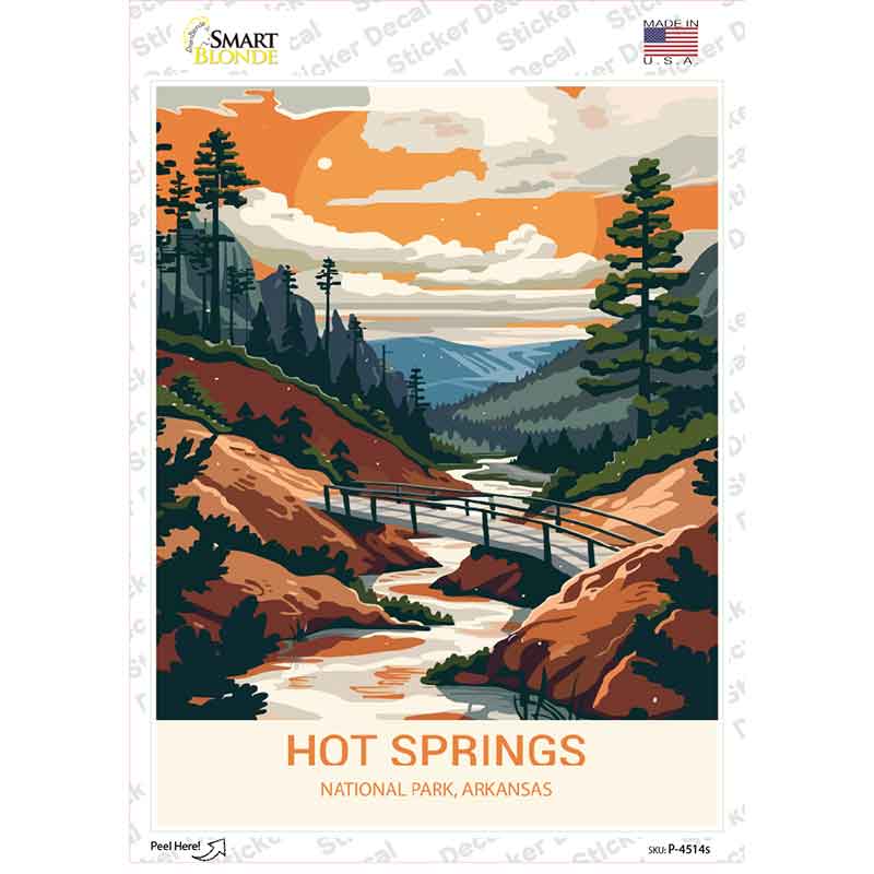 Hot Springs Arkansas Novelty Rectangle Sticker Decal P-4514s