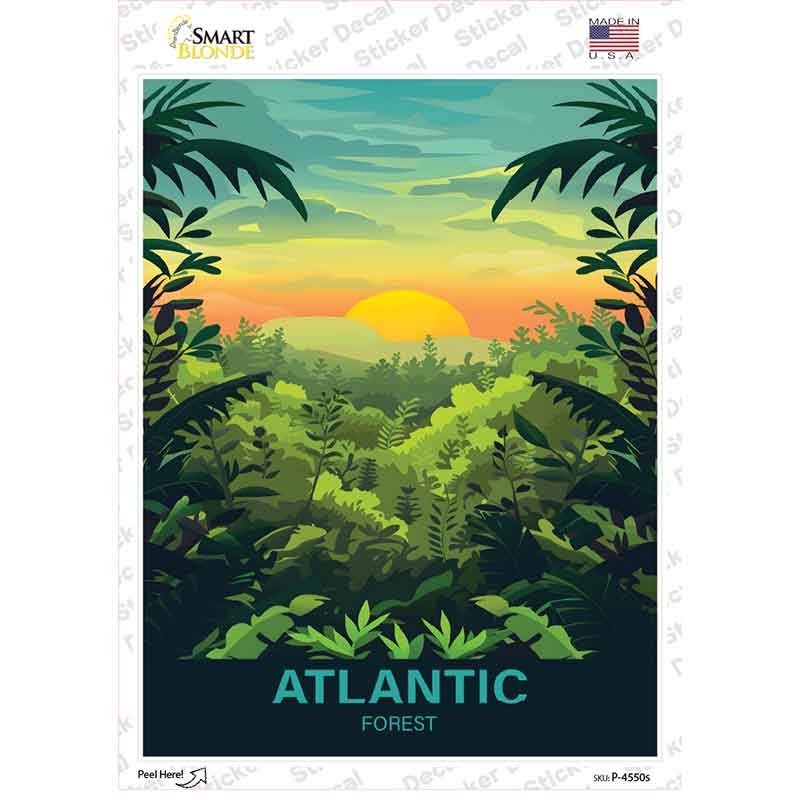 Atlantic Forest Novelty Rectangle Sticker Decal P-4550s