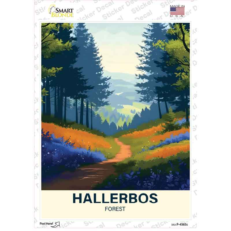 Hallerbos Forest Novelty Rectangle Sticker Decal P-4565s