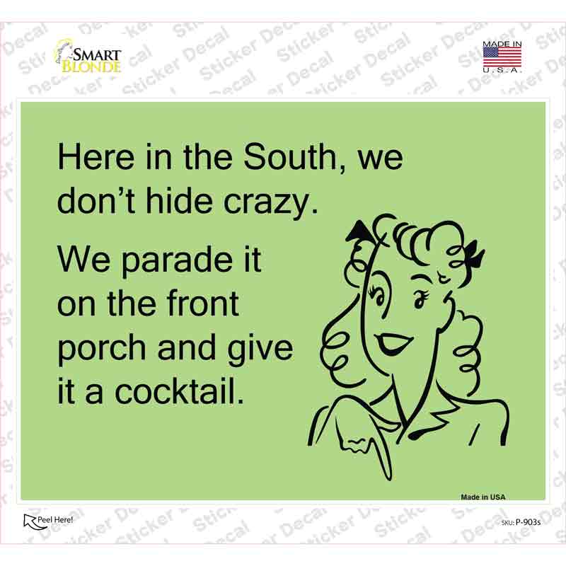 Here in the south, we dont hide crazy Novelty Rectangle Sticker Decal
