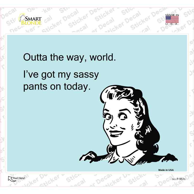 Ive Got My Sassy Pants Novelty Rectangle Sticker Decal