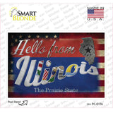 Hello From Illinois Novelty Postcard Sticker Decals