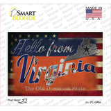 Hello From Virginia Novelty Postcard Sticker Decals