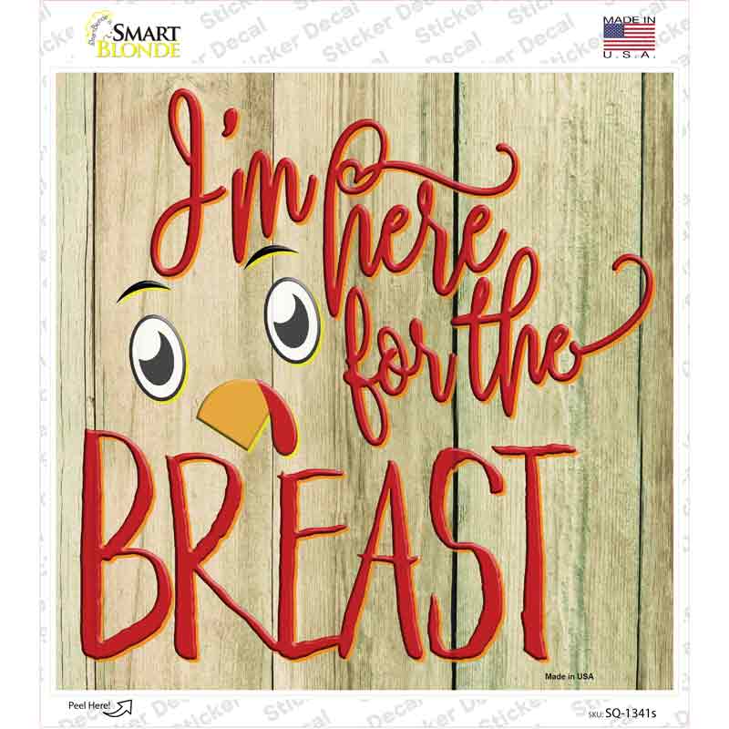 Im Here for the Breast Novelty Square Sticker Decal