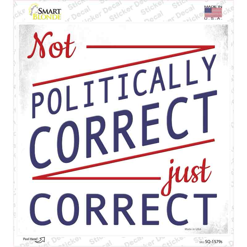 Not Politically Correct Just Correct Novelty Square Sticker Decal