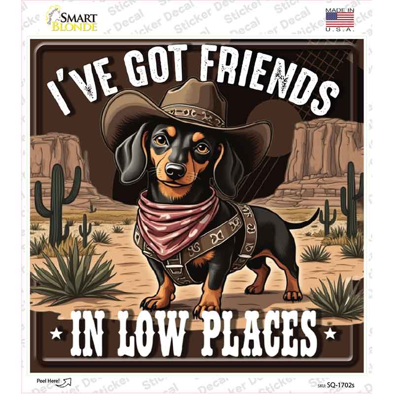 Ive Got Friends In Low Places Novelty Square Sticker Decal SQ-1702s