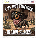 Ive Got Friends In Low Places Novelty Square Sticker Decal SQ-1702s