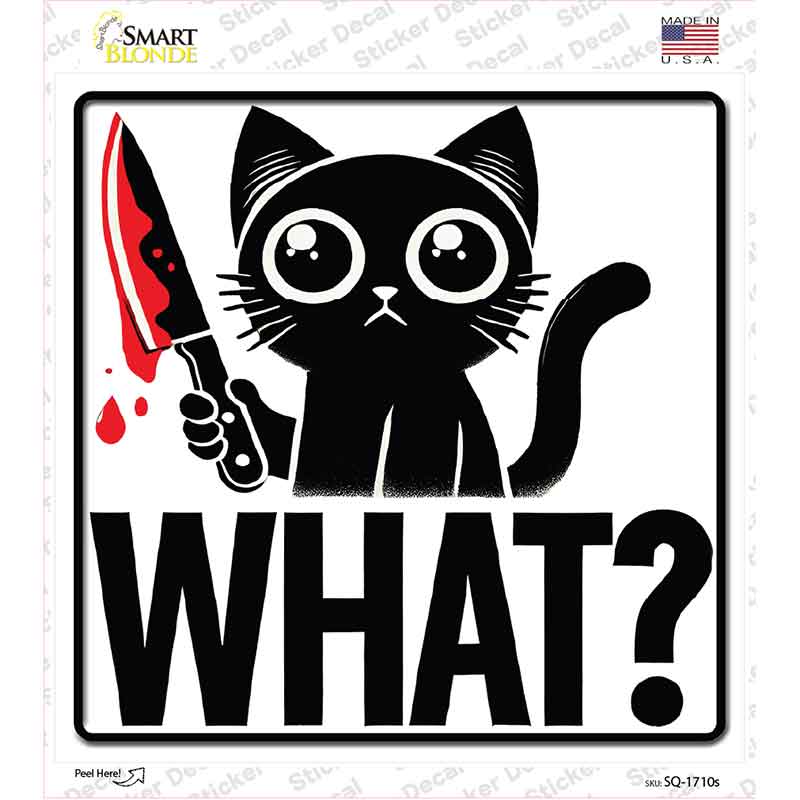 Cat What Novelty Square Sticker Decal SQ-1710s