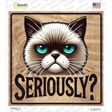Seriously Novelty Square Sticker Decal SQ-1711s
