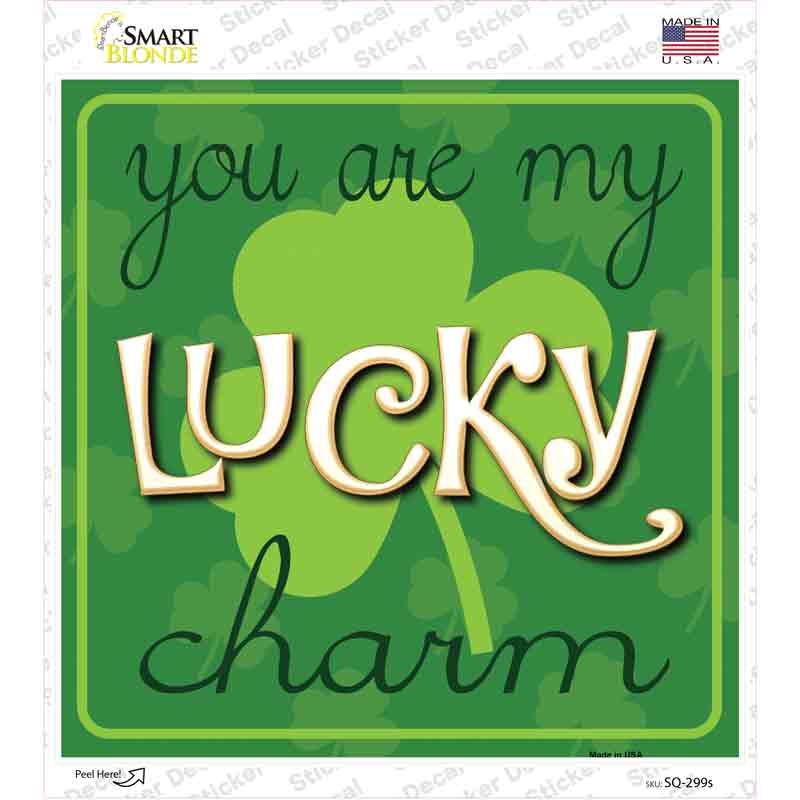 You My Lucky Charm Novelty Square Sticker Decal