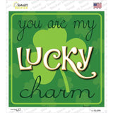 You My Lucky Charm Novelty Square Sticker Decal
