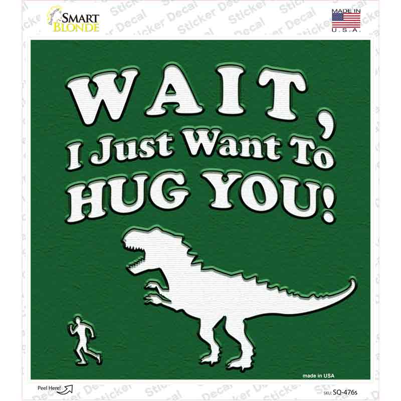Just Want To Hug You Novelty Square Sticker Decal